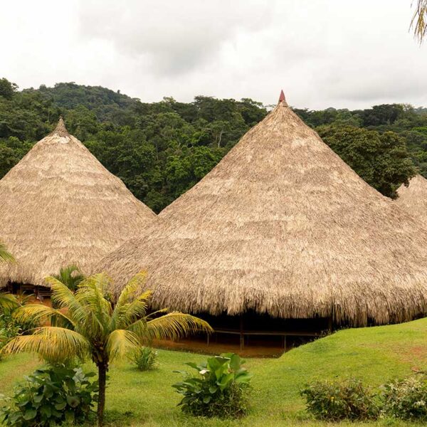 Aventura Cultural en la Aldea Embera - Imagen 2