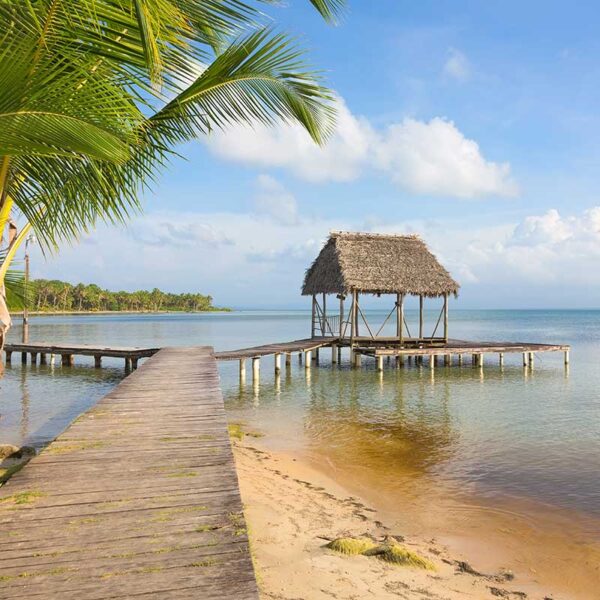Ciudad de Panamá – Boquete – exploración de Bocas del Toro - Imagen 2