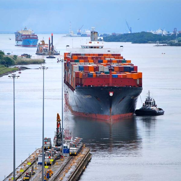 Aventura en el Canal de Panamá: Vida Silvestre y Selva Tropical - Imagen 2