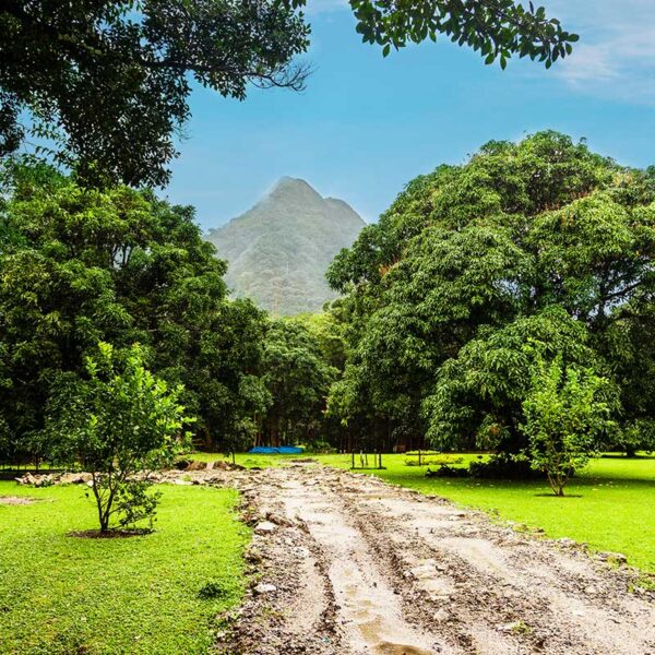 Ciudad de Panamá – El Valle de Antón – exploración del Océano Pacífico - Imagen 2
