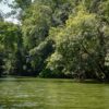 Bayano Lake Caves and Culture Tour