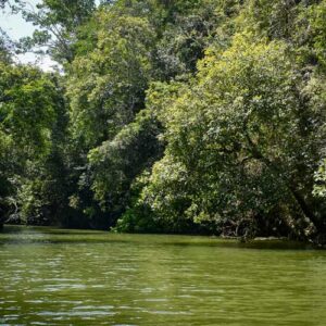 Tour de Cuevas y Cultura en el Lago Bayano