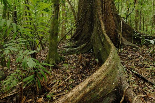 Chagres National Park Adventure