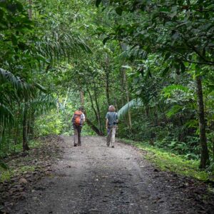 Eco-Aventura al Atardecer: Senderismo y Puestas de Sol