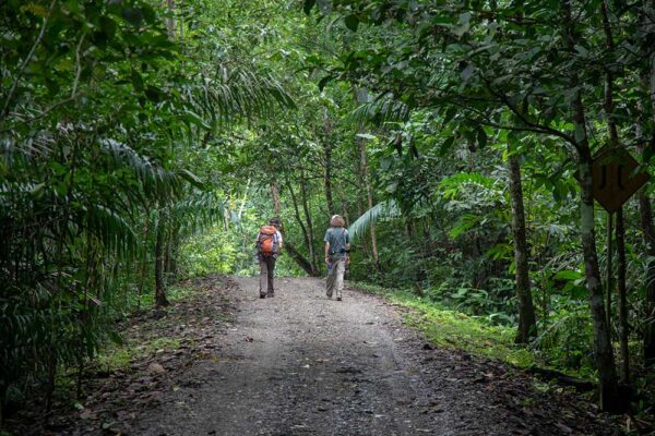 Eco-Adventure at Sunset: Hiking and Sunsets