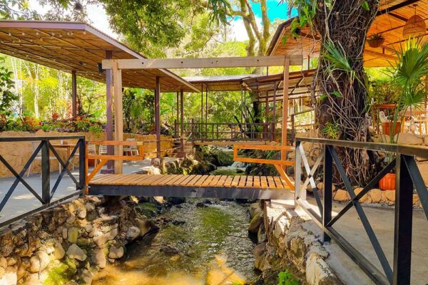 Boquete Coffee and Hanging Bridges Tour