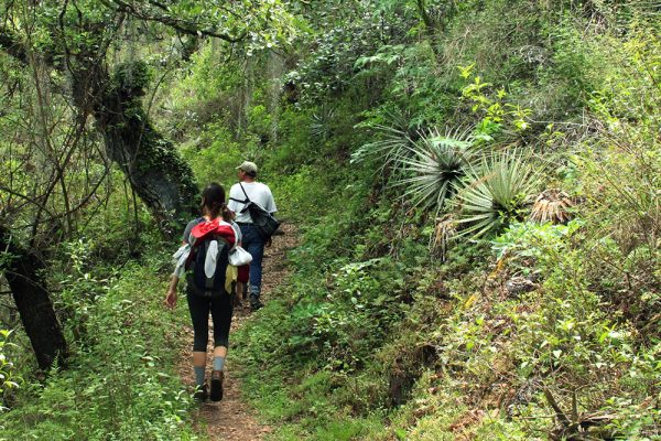 Travesía por el Río Chagres: Aventura y Comunidades