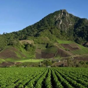 Cerro Punta
