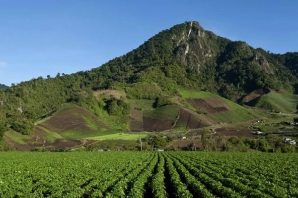 Cerro Punta