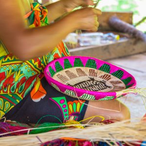 Ruta del Cacao y Cultura Emberá