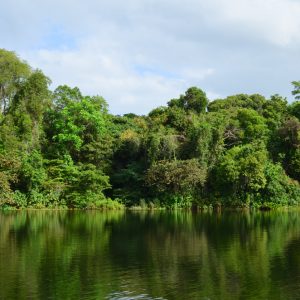 Noche Estrellada en el Lago Gatún: Cena en Barco Privado