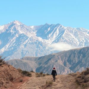 Ruta del Vino en Mendoza y Chile