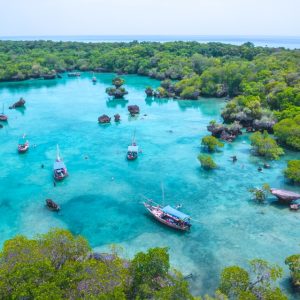 Safari y Zanzíbar: Aventura Africana