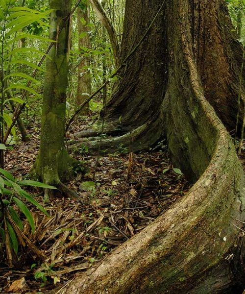 aventura-parque-nacional-chagres-pic aventura-parque-nacional-chagres-pic
